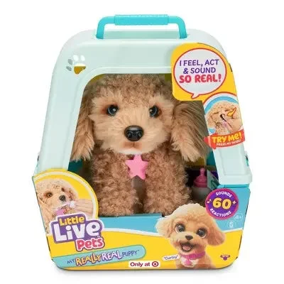 Harry Potter Harry Potter Action Figure with Hogwarts Robe and WandLittle Live Pets My Really Real Puppy - Curley The Cavoodle