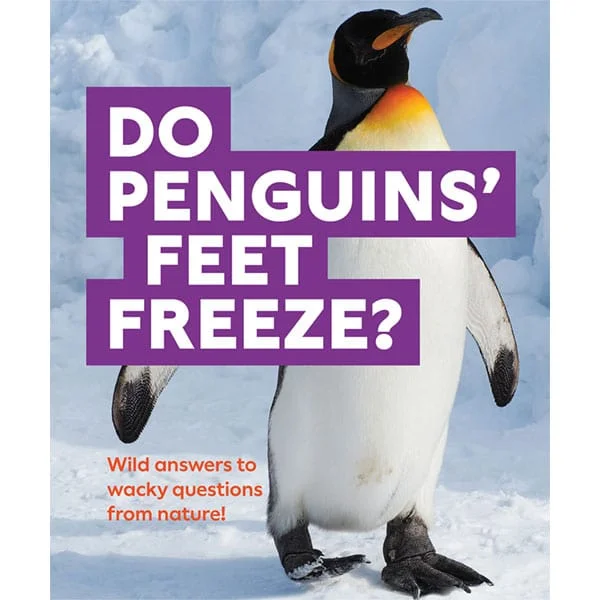 Sustainable Wooden Educational Toys with Counting and Number Recognition ElementsDo Penguins' Feet Freeze? Sustainable Wooden Educational Toys with Counting and Number Recognition ElementsDo Penguins' Feet Freeze?