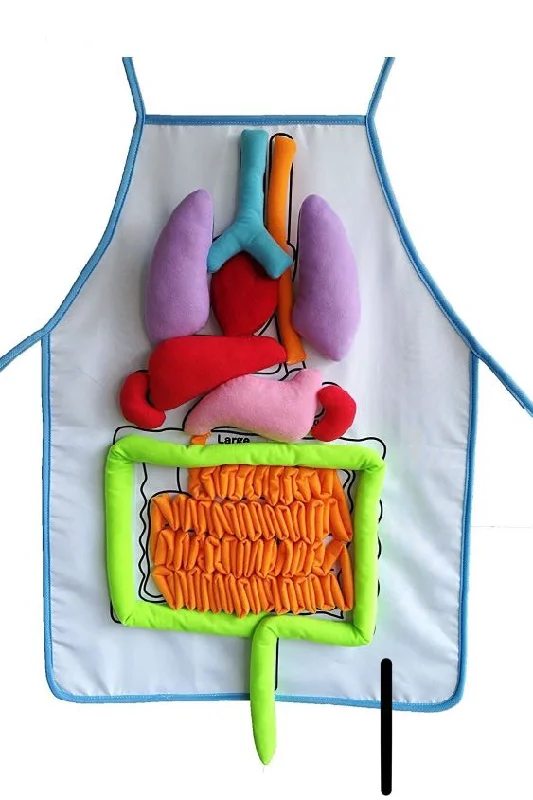 Natural Wood Early Learning Educational Toys for Toddlers' Cognitive DevelopmentHuman Anatomy Organs Apron - What's Inside Me Anatomy Apron