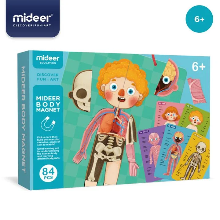 High - Quality Solid Wood Educational Toys for Developing Fine Motor Skills in KidsMiDeer Magnetic Body Parts Magnet 90 PCs - Learning about the Body High - Quality Solid Wood Educational Toys for Developing Fine Motor Skills in KidsMiDeer Magnetic Body Parts Magnet 90 PCs - Learning about the Body
