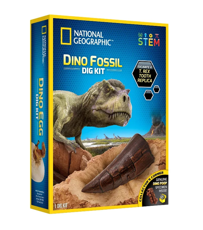 Natural Finish Wooden Educational Toys with a Music - Making Function for 3 - 5 Year OldsDino Fossil Dig Kit Natural Finish Wooden Educational Toys with a Music - Making Function for 3 - 5 Year OldsDino Fossil Dig Kit