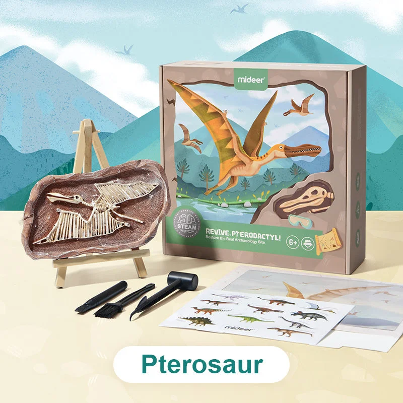 High - Quality Solid Wood Educational Toys for Developing Fine Motor Skills in KidsPterosaur Dino Fossil Dig Kit