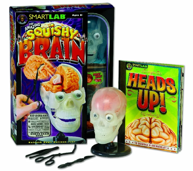 Solid Wood Educational Toys with a Coding and Logic - Building GameSmart Lab The Amazing Squishy Brain