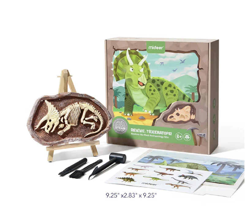 Hand - Carved Wooden Educational Toys with Alphabet - Learning BlocksTriceratops Dino Fossil Dig Kit