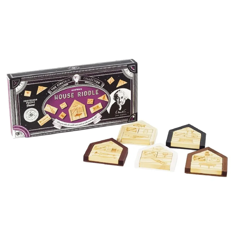 Einsteins House Riddle 3D Brain Teaser Puzzle