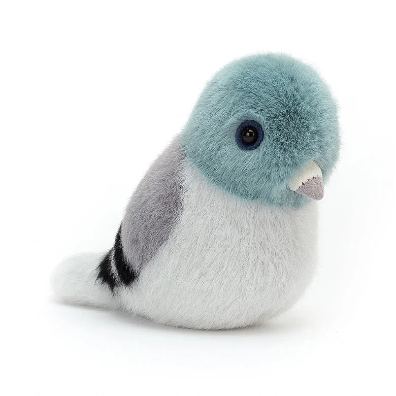 Pigeon